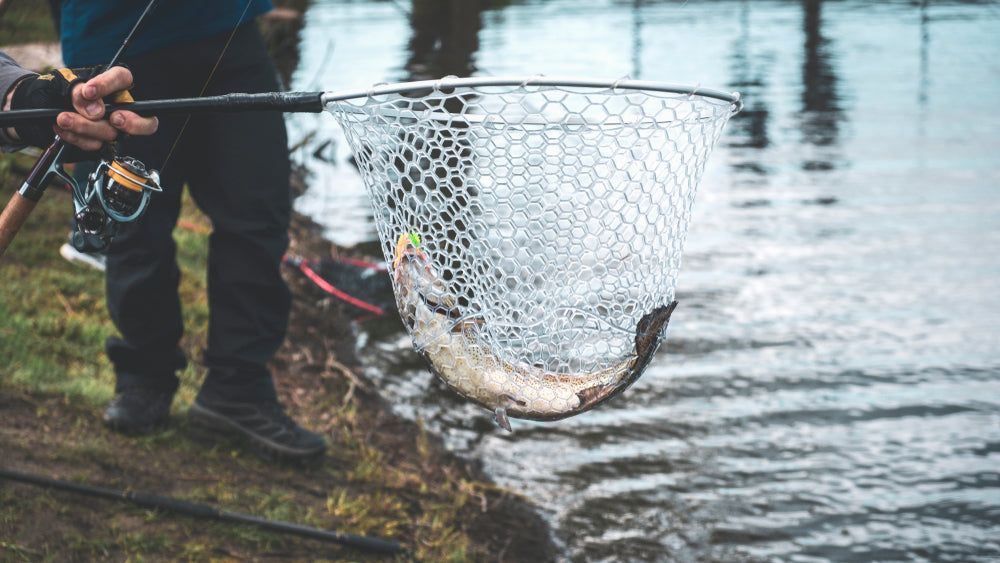 Salmon Fishing Tricks & Techniques