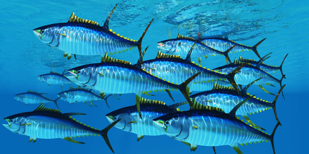 Will Eating Fish Give Me Mercury Poisoning?