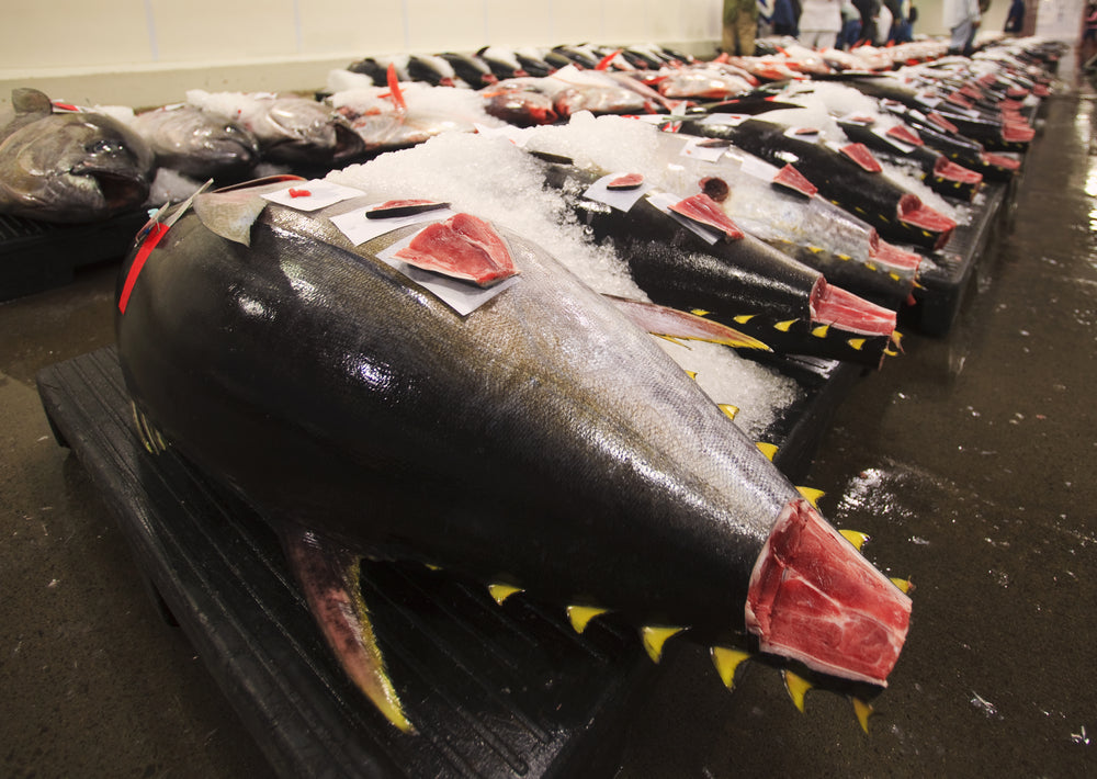 How to Choose Fresh Fish at the Market