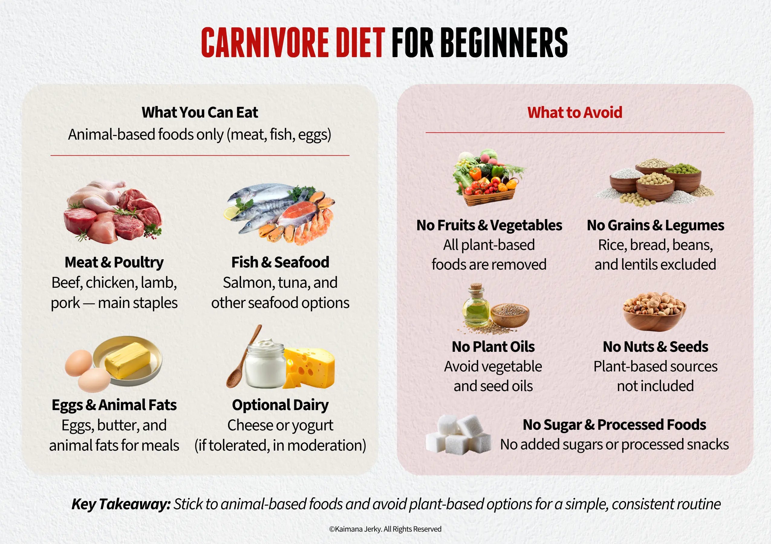 Carnivore Diet for Beginners 