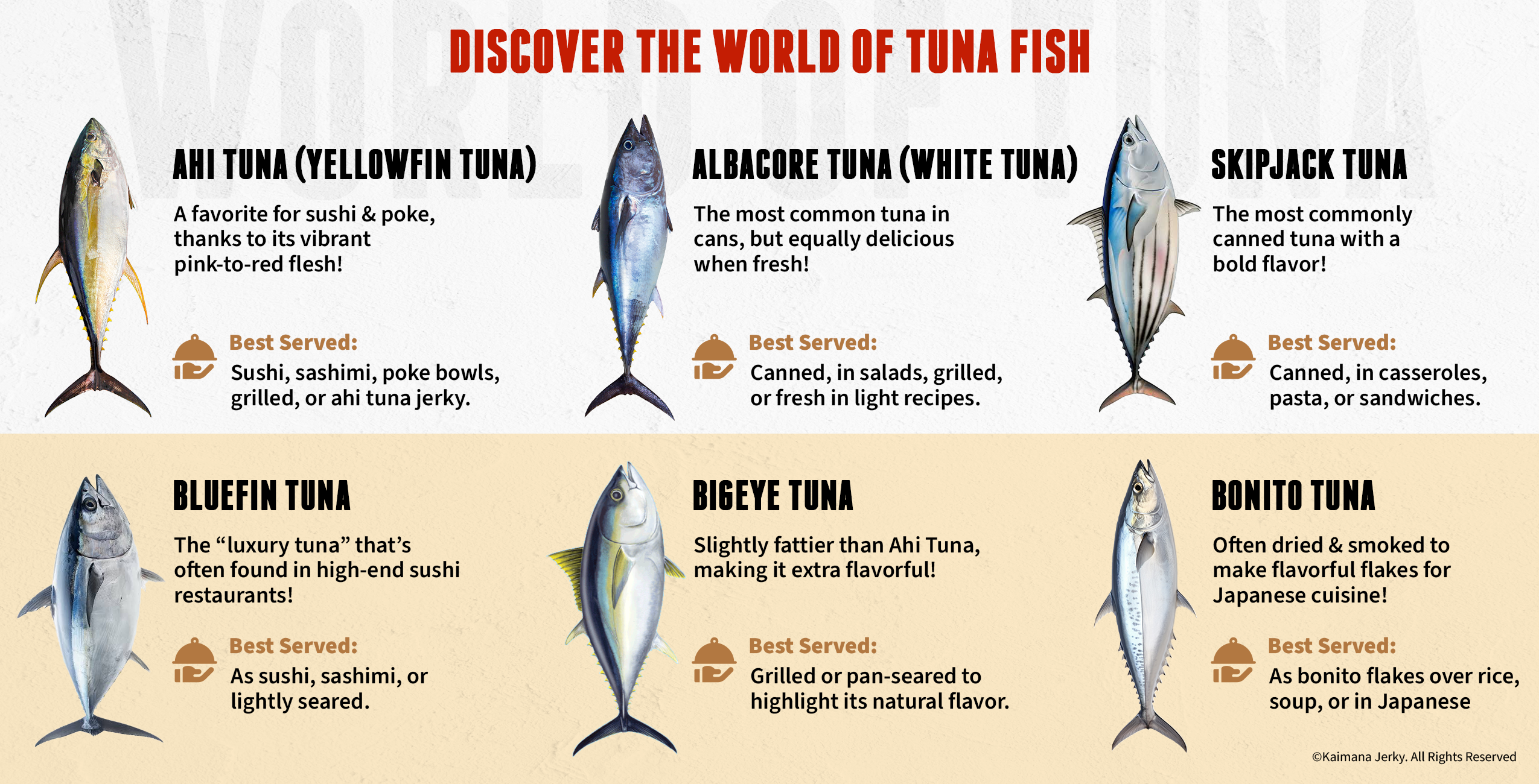 Different Types of Tuna Fish