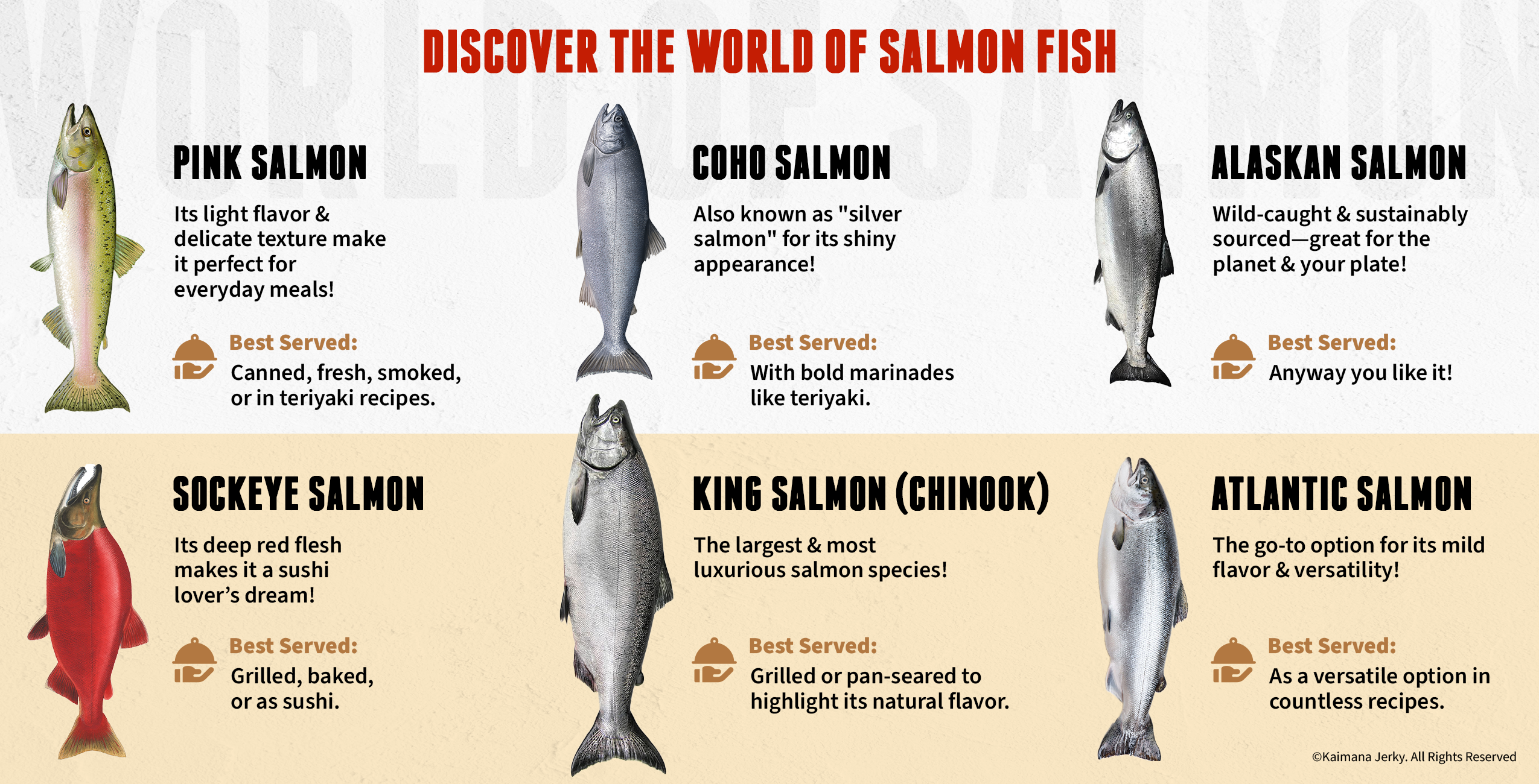 Different Types of Salmon Fish