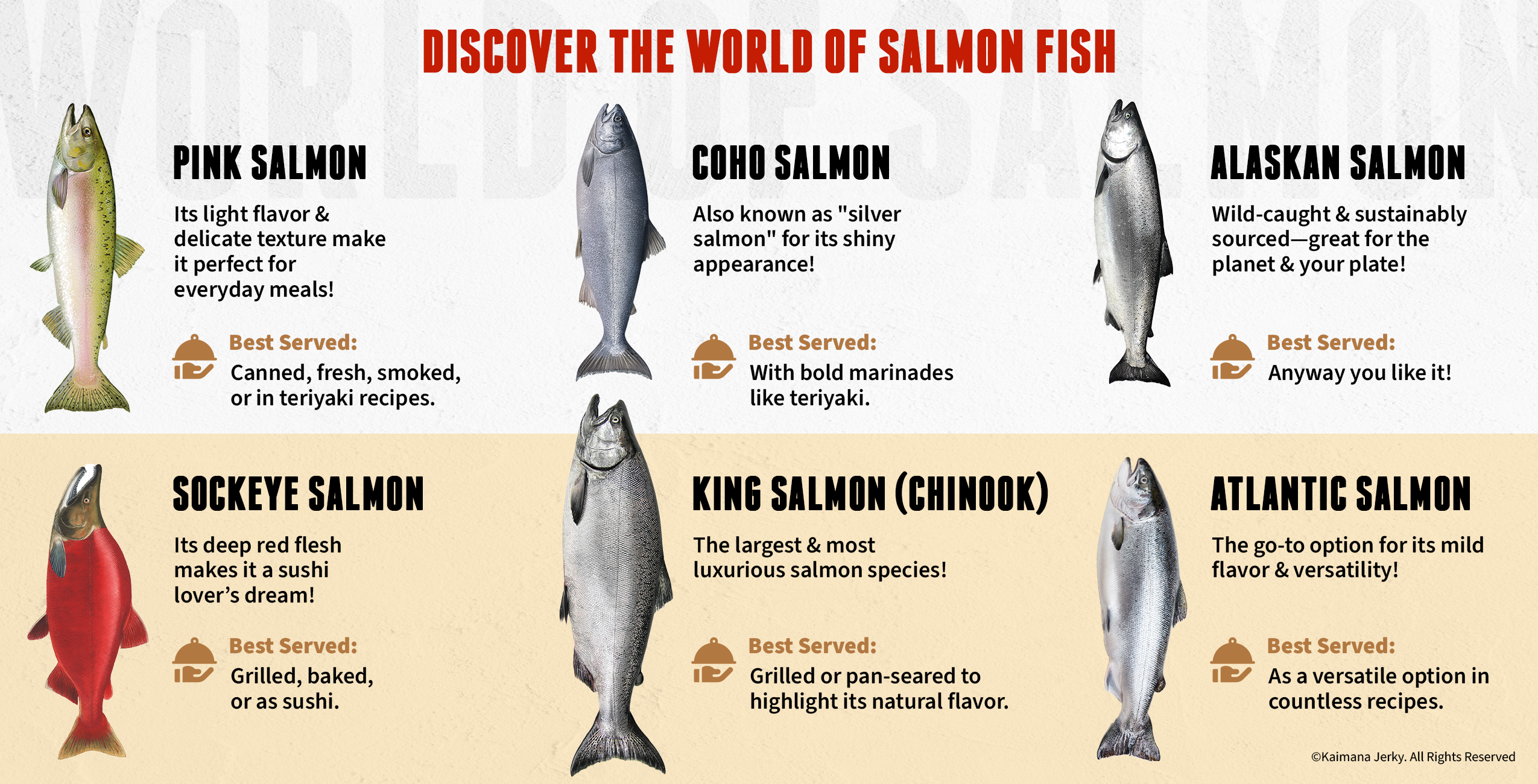 Best Fish to Eat: Top Guide Comparing Salmon, Tuna & Wahoo
