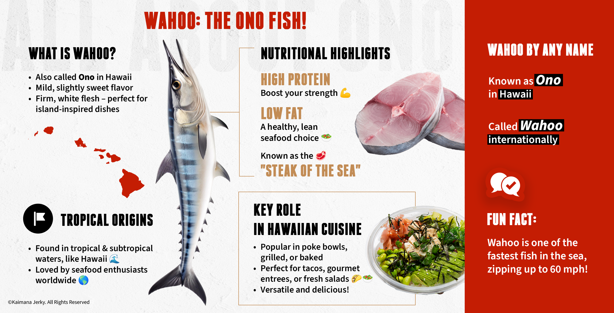 Wahoo: The Ono Fish